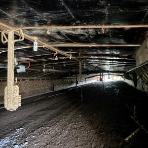 Photo #14 of 25495 SAXIS RD, TEMPERANCEVILLE, VA 10.0 acres