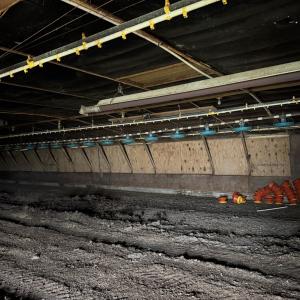 Photo #16 of 25495 SAXIS RD, TEMPERANCEVILLE, VA 10.0 acres