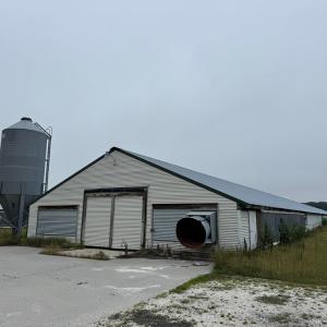 Photo #3 of 25495 SAXIS RD, TEMPERANCEVILLE, VA 10.0 acres