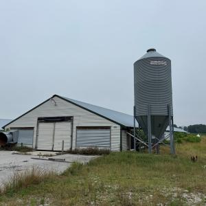 Photo #6 of 25495 SAXIS RD, TEMPERANCEVILLE, VA 10.0 acres