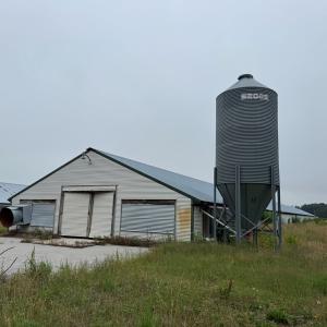 Photo #9 of 25495 SAXIS RD, TEMPERANCEVILLE, VA 10.0 acres