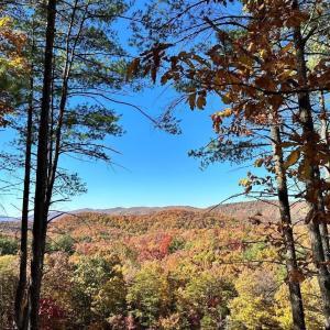 Photo #6 of 0 BROOK DR, HOT SPRINGS, VA 155.0 acres