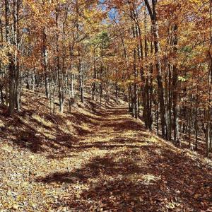 Photo #8 of 0 BROOK DR, HOT SPRINGS, VA 155.0 acres