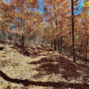 Photo #9 of 0 BROOK DR, HOT SPRINGS, VA 155.0 acres