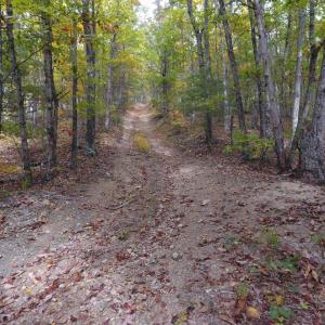 Photo #22 of 0 BROOK DR, HOT SPRINGS, VA 155.0 acres