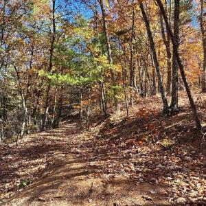 Photo #7 of 0 BROOK DR, HOT SPRINGS, VA 155.0 acres