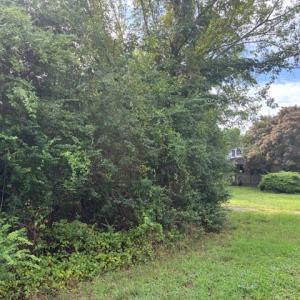 Photo #10 of lot 50 BLUEBERRY DR, CAPE CHARLES, VA 0.5 acres