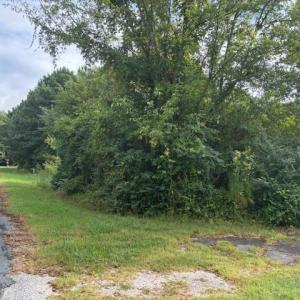 Photo #11 of lot 50 BLUEBERRY DR, CAPE CHARLES, VA 0.5 acres