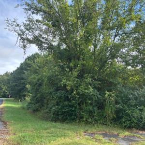 Photo #3 of lot 50 BLUEBERRY DR, CAPE CHARLES, VA 0.5 acres