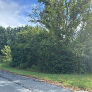 Photo #4 of lot 50 BLUEBERRY DR, CAPE CHARLES, VA 0.5 acres