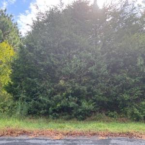 Photo #6 of lot 50 BLUEBERRY DR, CAPE CHARLES, VA 0.5 acres