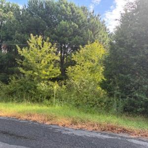 Photo #7 of lot 50 BLUEBERRY DR, CAPE CHARLES, VA 0.5 acres