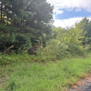 Photo #8 of lot 50 BLUEBERRY DR, CAPE CHARLES, VA 0.5 acres