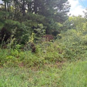 Photo #9 of lot 50 BLUEBERRY DR, CAPE CHARLES, VA 0.5 acres