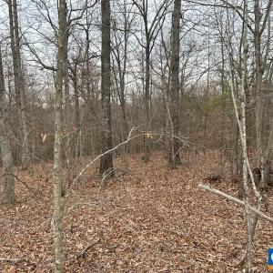 Photo #1 of 975 HARDWARE RD, SCOTTSVILLE, VA 2.5 acres