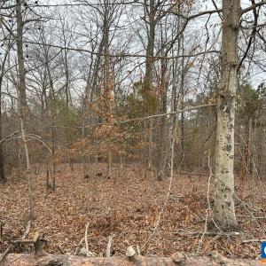 Photo #2 of 975 HARDWARE RD, SCOTTSVILLE, VA 2.5 acres