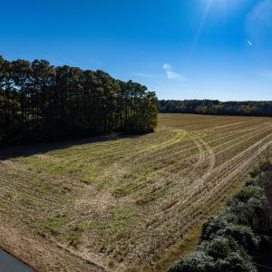 Photo #15 of JAMES WHARF RD, EXMORE, VA 11.5 acres