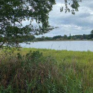 Photo #4 of Lot 8 MINK FARM RD, ONANCOCK, VA 6.3 acres