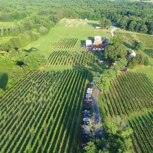 Photo #9 of 5609 COURTHOUSE RD, SPOTSYLVANIA, VA 40.0 acres