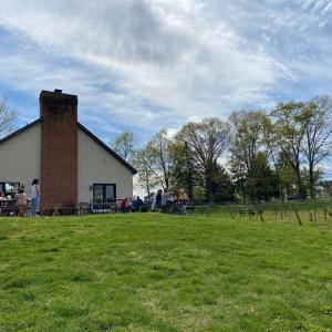 Photo #14 of 5609 COURTHOUSE RD, SPOTSYLVANIA, VA 40.0 acres