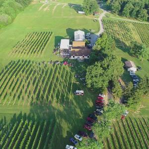 Photo #8 of 5609 COURTHOUSE RD, SPOTSYLVANIA, VA 40.0 acres