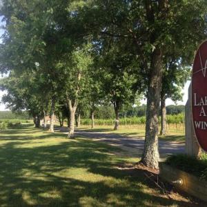 Photo #11 of 5609 COURTHOUSE RD, SPOTSYLVANIA, VA 40.0 acres