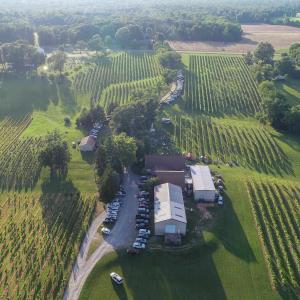 Photo #6 of 5609 COURTHOUSE RD, SPOTSYLVANIA, VA 40.0 acres