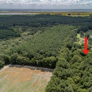 Photo #3 of Lot 79D WHITES NECK RD, PARKSLEY, VA 1.2 acres