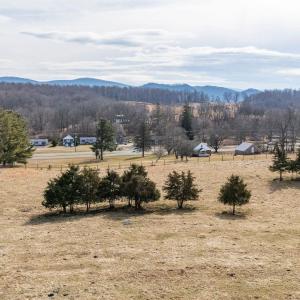 Photo #8 of 32.31 ac. LEE HWY, RAPHINE, VA 32.3 acres