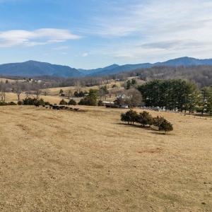 Photo #12 of 32.31 ac. LEE HWY, RAPHINE, VA 32.3 acres