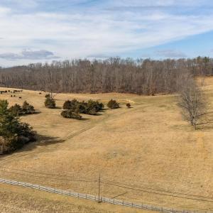 Photo #17 of 32.31 ac. LEE HWY, RAPHINE, VA 32.3 acres