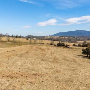 Photo #4 of 32.31 ac. LEE HWY, RAPHINE, VA 32.3 acres