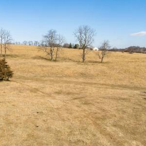 Photo #7 of 32.31 ac. LEE HWY, RAPHINE, VA 32.3 acres