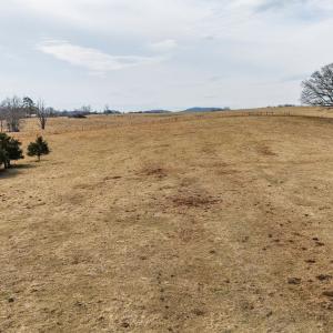 Photo #6 of 32.31 ac. LEE HWY, RAPHINE, VA 32.3 acres