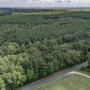 Photo #3 of 2.35 AC WHITES NECK RD, PARKSLEY, VA 2.4 acres