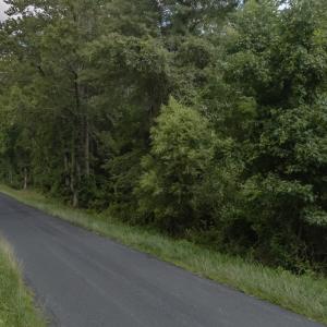 Photo #4 of 2.35 AC WHITES NECK RD, PARKSLEY, VA 2.4 acres