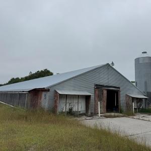 Photo #18 of 7193 BULLBEGGAR RD, WITHAMS, VA 18.0 acres