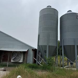 Photo #20 of 7193 BULLBEGGAR RD, WITHAMS, VA 18.0 acres