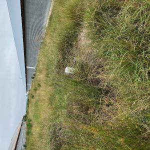 Photo #27 of 7193 BULLBEGGAR RD, WITHAMS, VA 18.0 acres