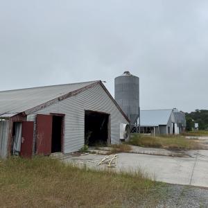 Photo #3 of 7193 BULLBEGGAR RD, WITHAMS, VA 18.0 acres