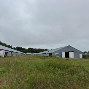 Photo #32 of 7193 BULLBEGGAR RD, WITHAMS, VA 18.0 acres
