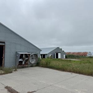Photo #35 of 7193 BULLBEGGAR RD, WITHAMS, VA 18.0 acres