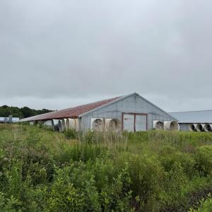 Photo #38 of 7193 BULLBEGGAR RD, WITHAMS, VA 18.0 acres