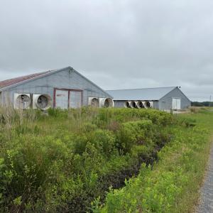Photo #39 of 7193 BULLBEGGAR RD, WITHAMS, VA 18.0 acres