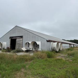 Photo #46 of 7193 BULLBEGGAR RD, WITHAMS, VA 18.0 acres
