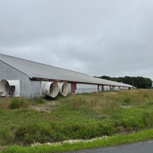 Photo #47 of 7193 BULLBEGGAR RD, WITHAMS, VA 18.0 acres
