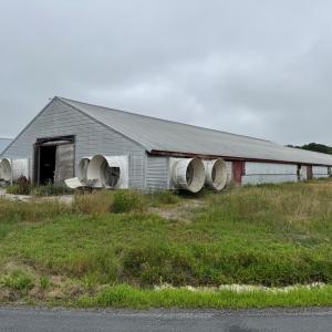 Photo #48 of 7193 BULLBEGGAR RD, WITHAMS, VA 18.0 acres