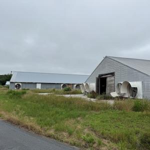 Photo #49 of 7193 BULLBEGGAR RD, WITHAMS, VA 18.0 acres