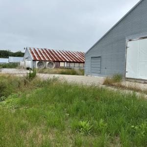 Photo #52 of 7193 BULLBEGGAR RD, WITHAMS, VA 18.0 acres