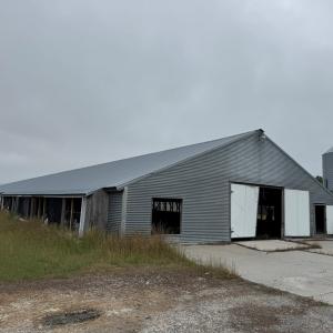 Photo #6 of 7193 BULLBEGGAR RD, WITHAMS, VA 18.0 acres